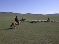 gal/Mongol 2009 by Husel/_thb_CIMG3016.JPG